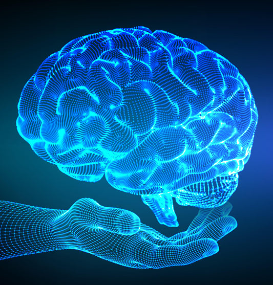 Measuring Brain Activity with Melatonin